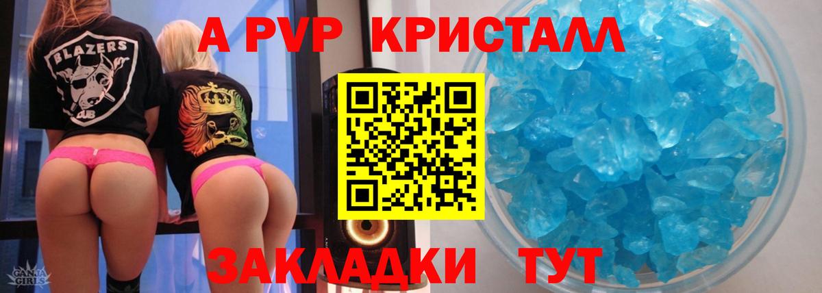 A PVP крисы CK Асино