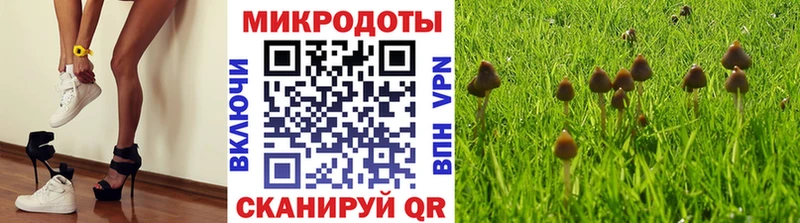 даркнет сайт  МЕГА зеркало  Галлюциногенные грибы MAGIC MUSHROOMS  Асино 